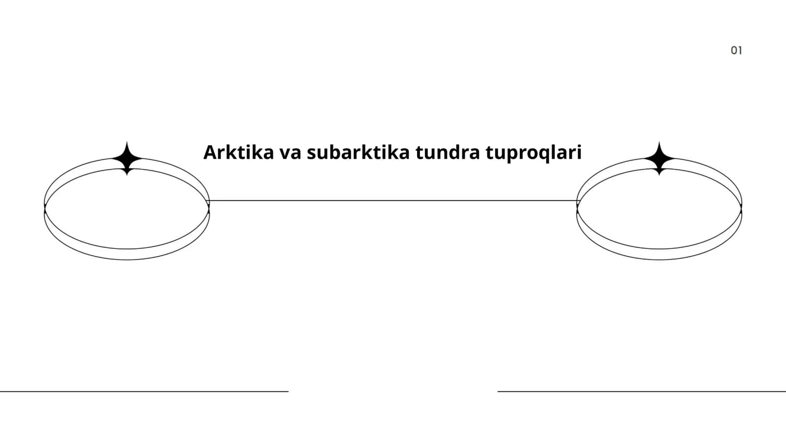 Arktika va subarktika tundra tuproqlari