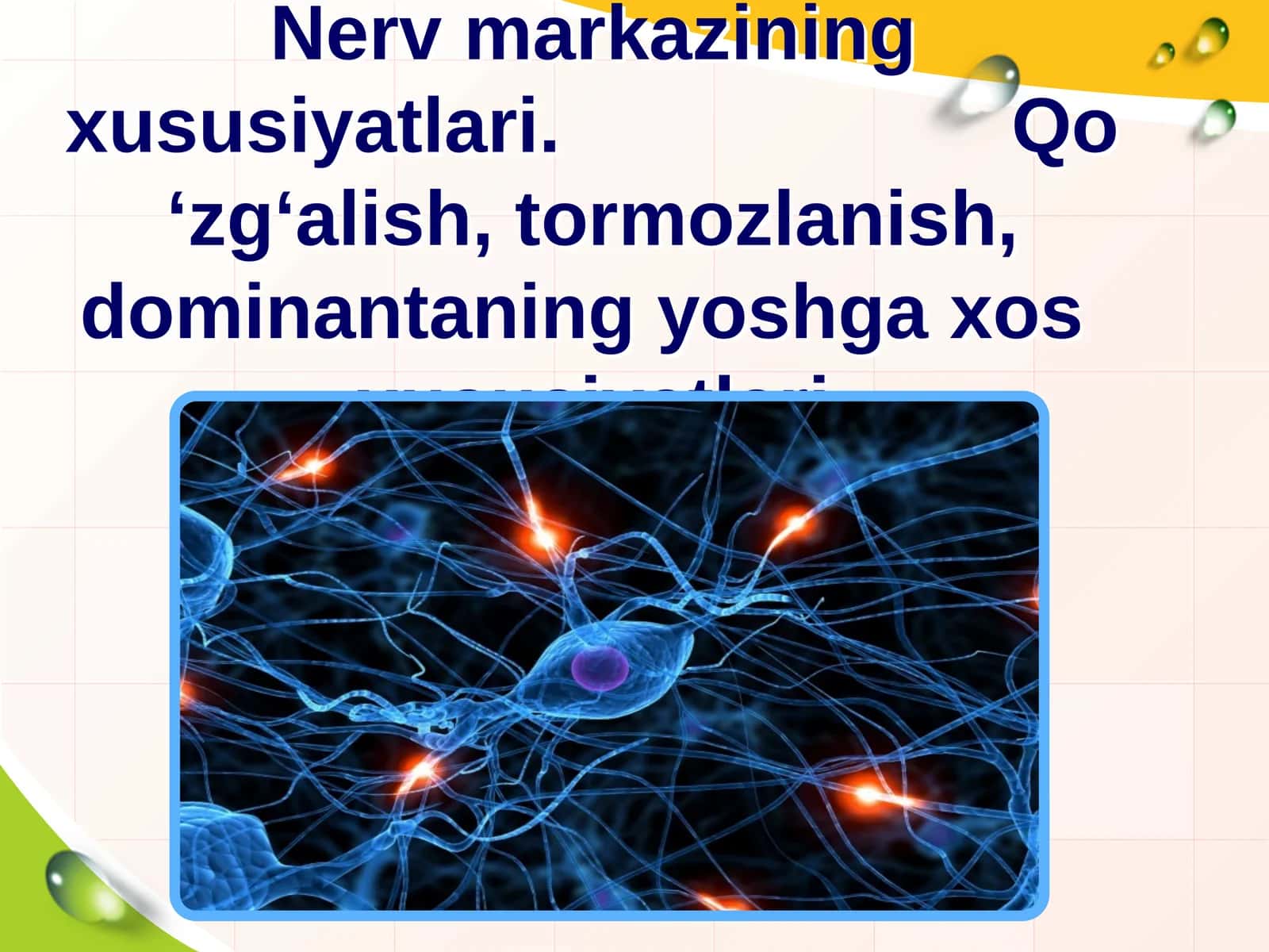 Nerv markazining xususiyatlari. Qo ‘zg‘alish, tormozlanish, dominantaning yoshga xos xususiyatlarichi