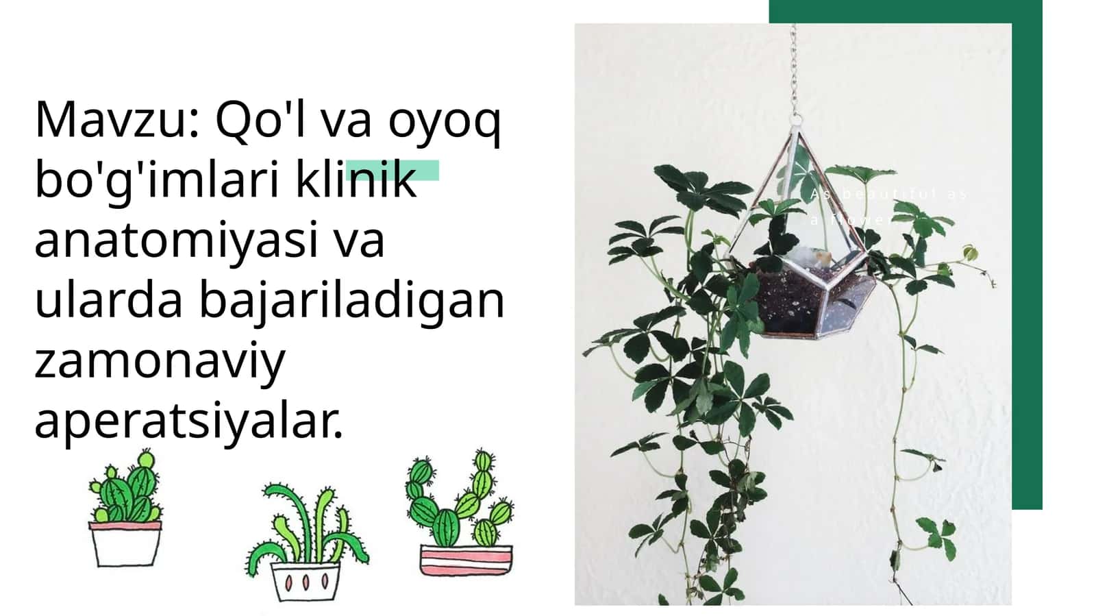 Qo‘l va oyoq bo'g'imlari klinik anatomiyasi va ularda bajariladigan zamonaviy aperatsiyalar