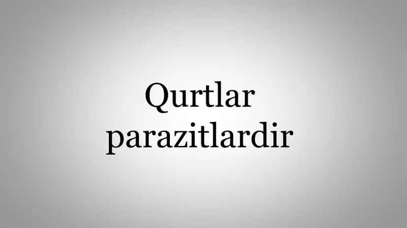 Qurtlar parazitlardir