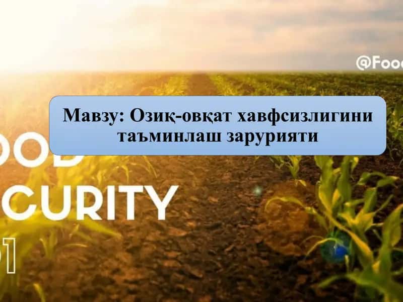 Очарчилик