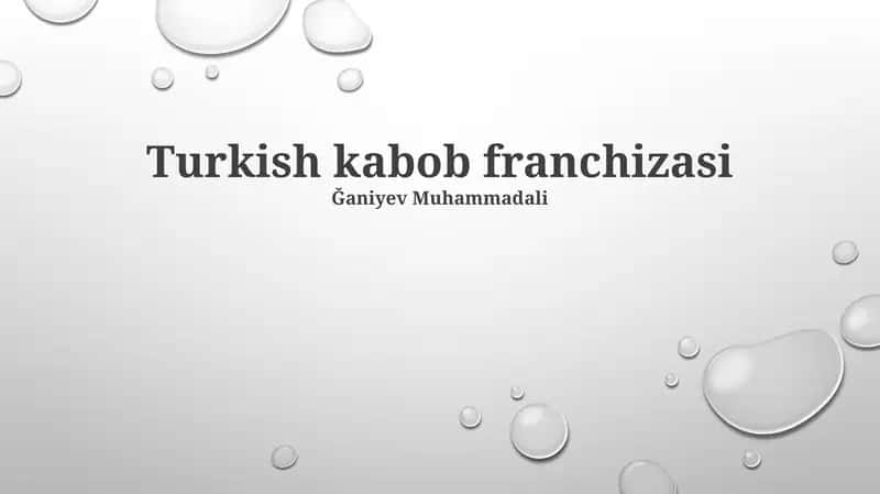 Turk Kebab Franchayzing