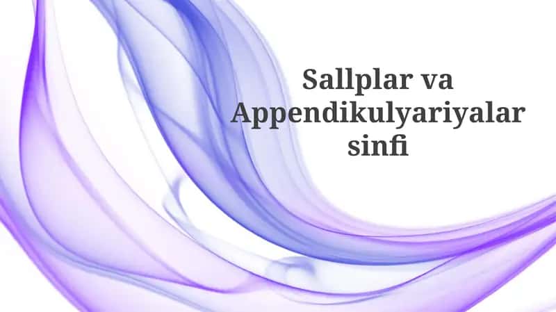 Sallplar va Appendikulyariyalar sinfi