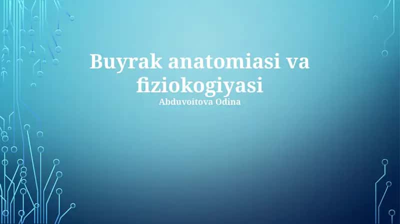 Buyrak anatomiyasi va fiziologiyasi