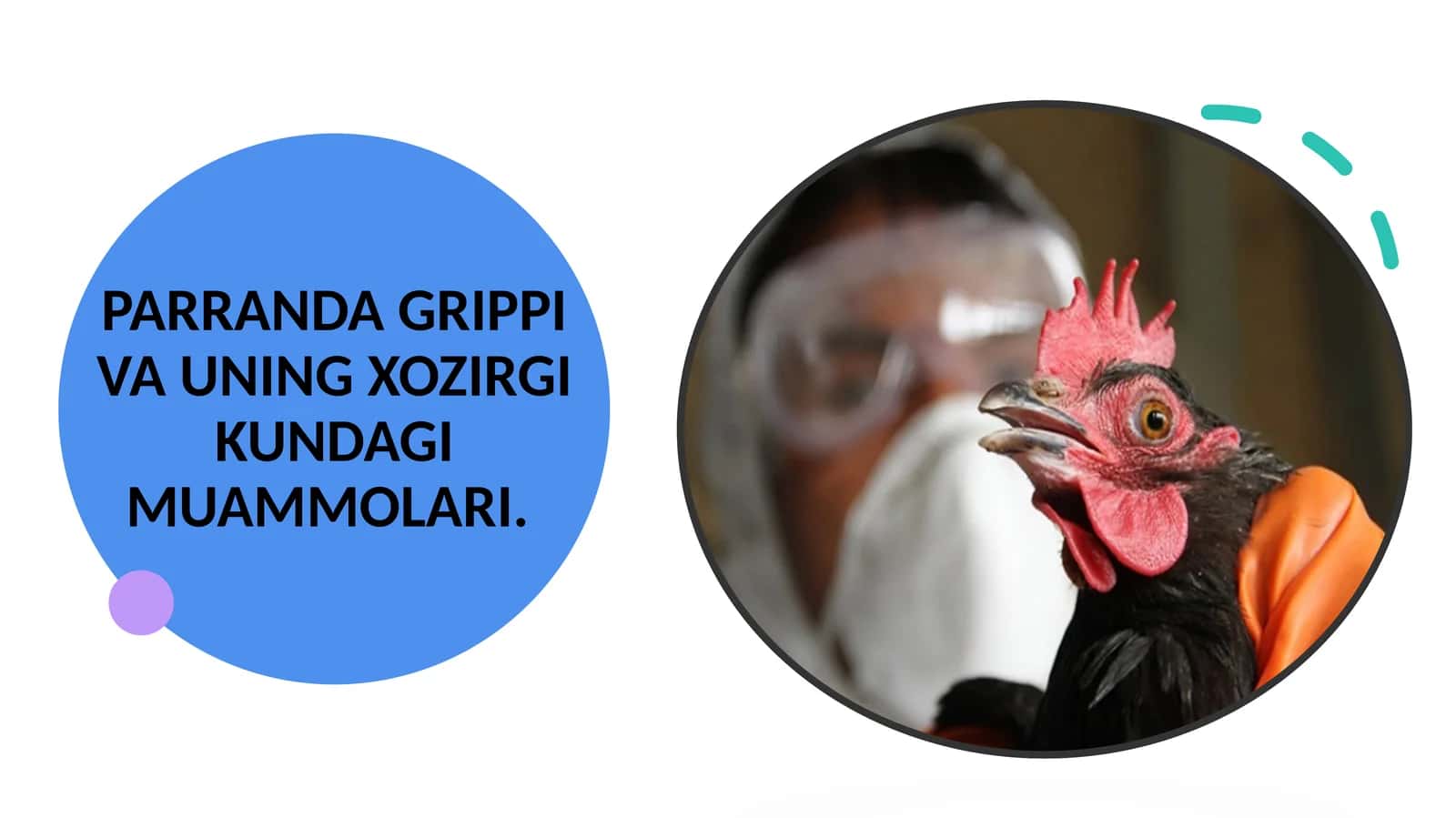 Parranda Grippi va uning xozirgi kundagi Muammolari