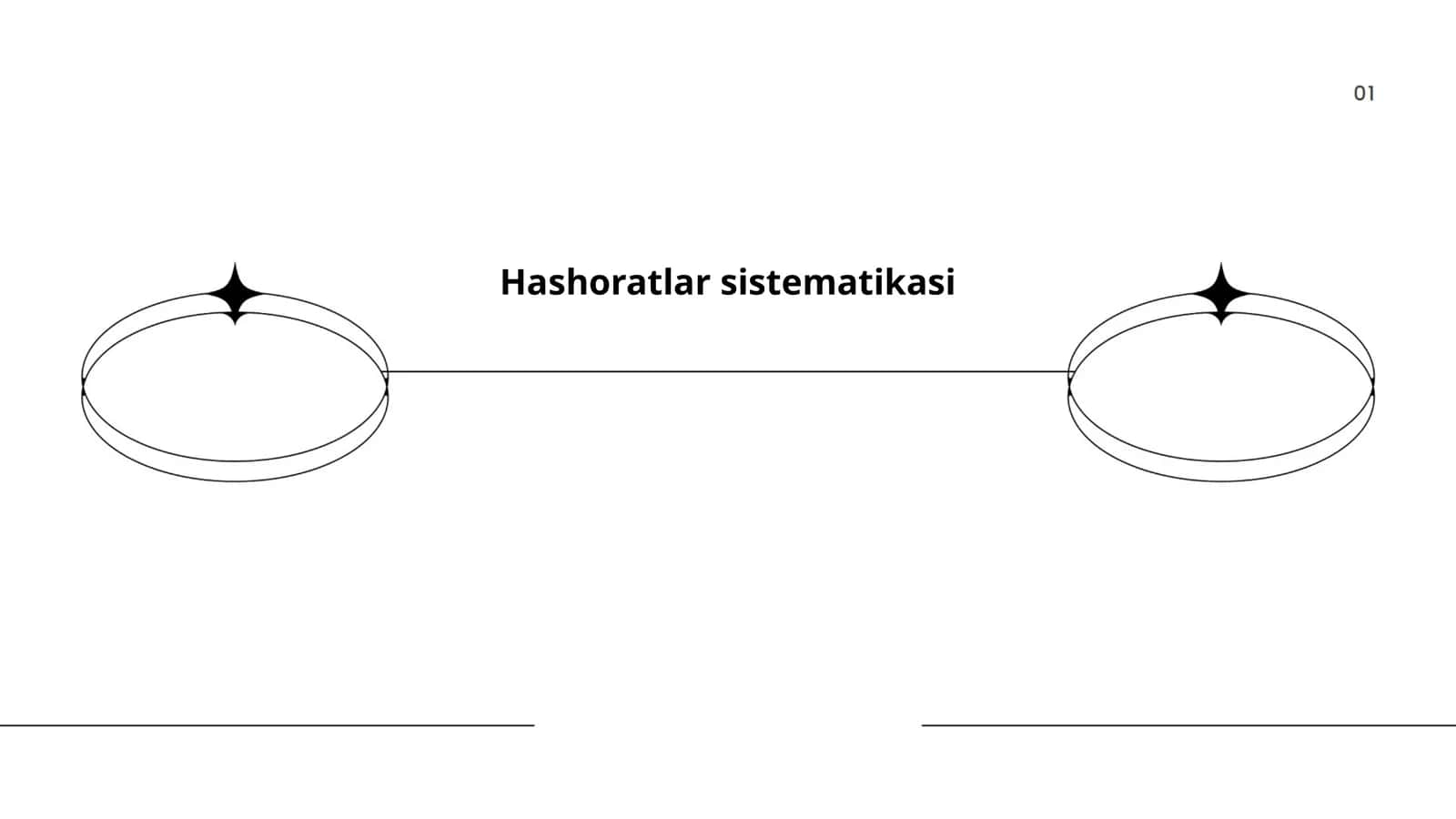 Hashoratlar sistematikasi