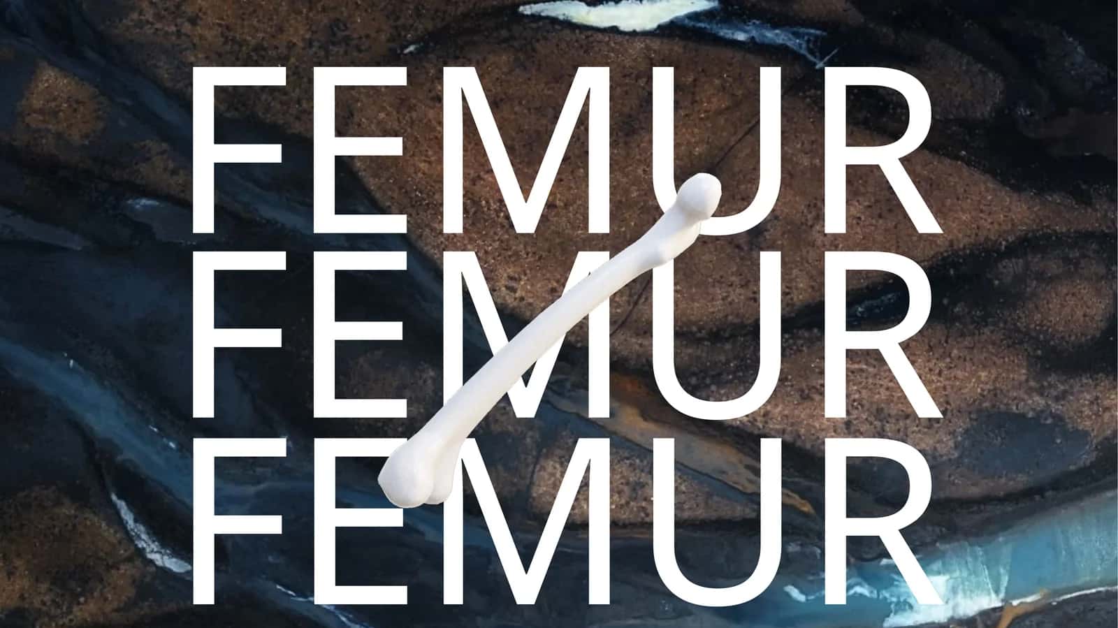 FEMUR