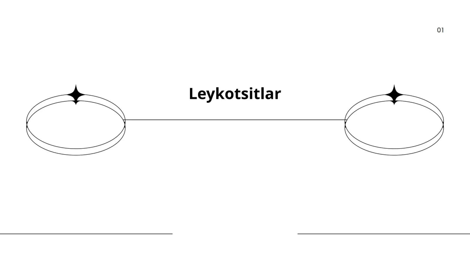 Leykotsitlar