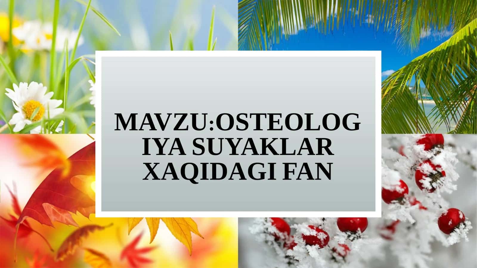 OSTEOLOGIYA SUYAKLAR XAQIDAGI FAN
