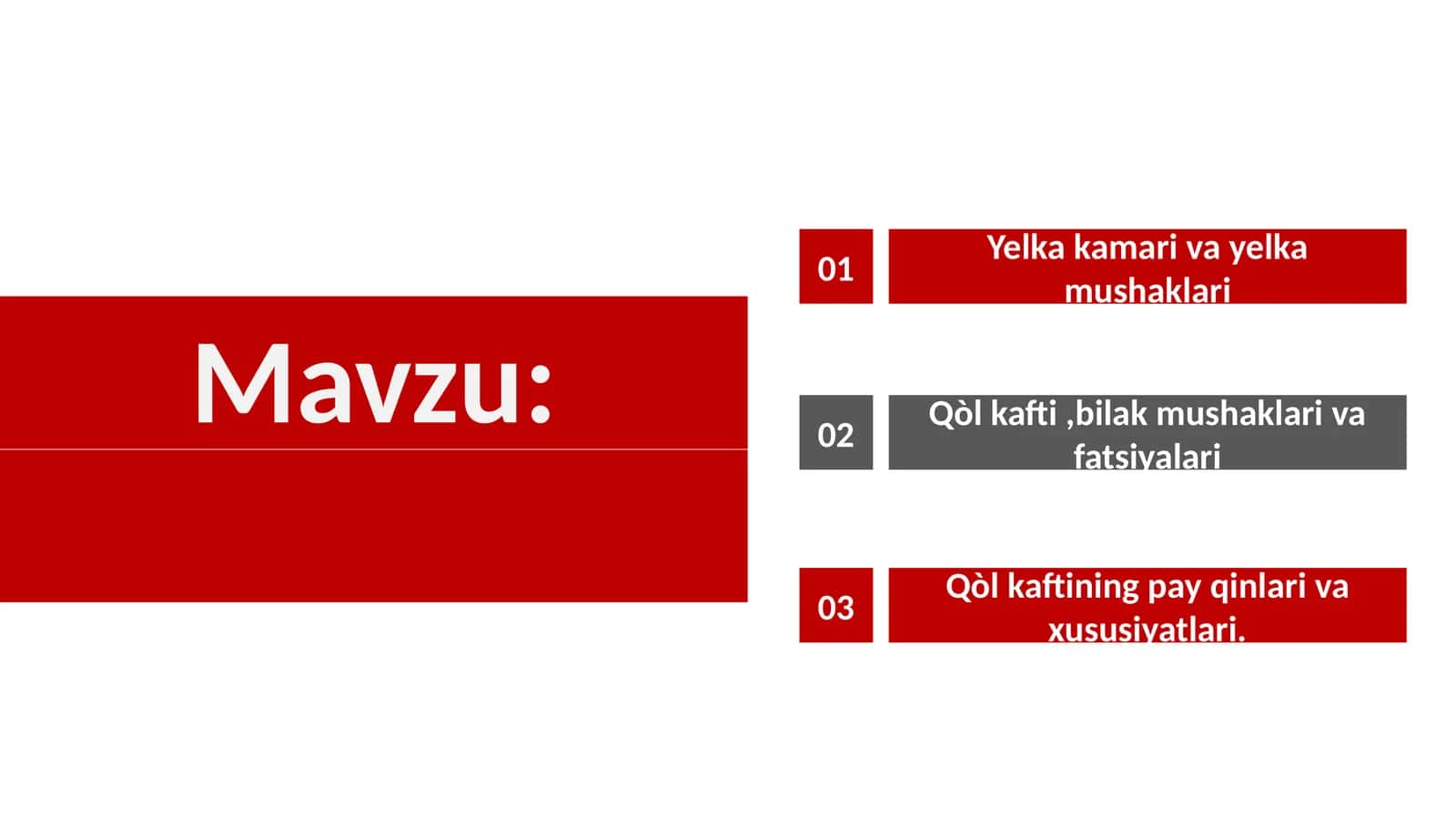 Qo'l muskullari