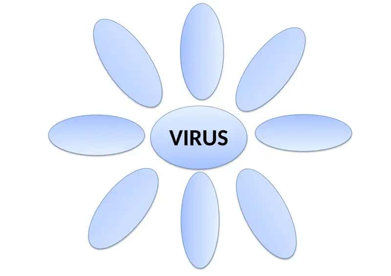 VIRUS