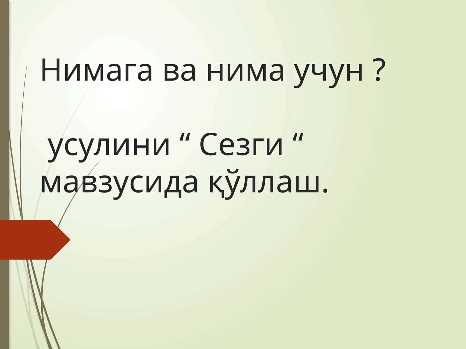 Нимага ва нима учун усулини “ Сезги “ мавзусида қўллаш