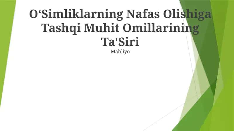 O‘Simliklarning Nafas Olishiga Tashqi Muhit Omillarining Ta'Siri