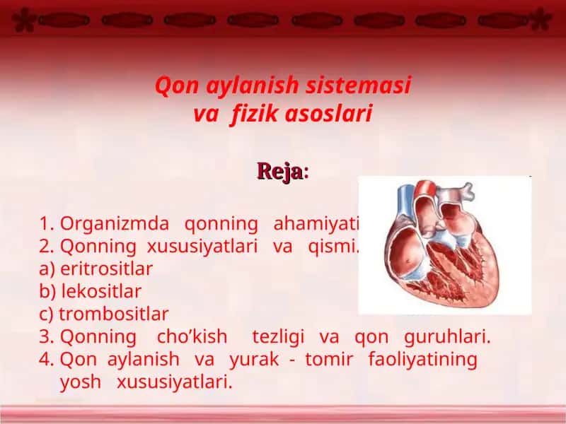Qon aylanish sistemasi va fizik asoslari