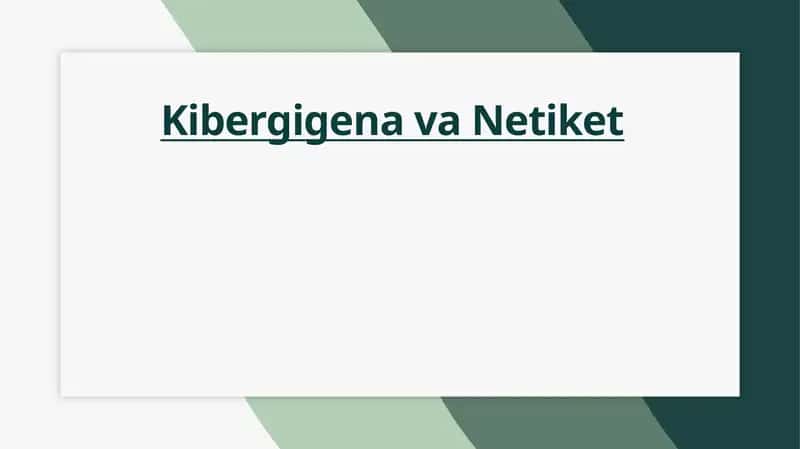 Kibergigena va Netiket