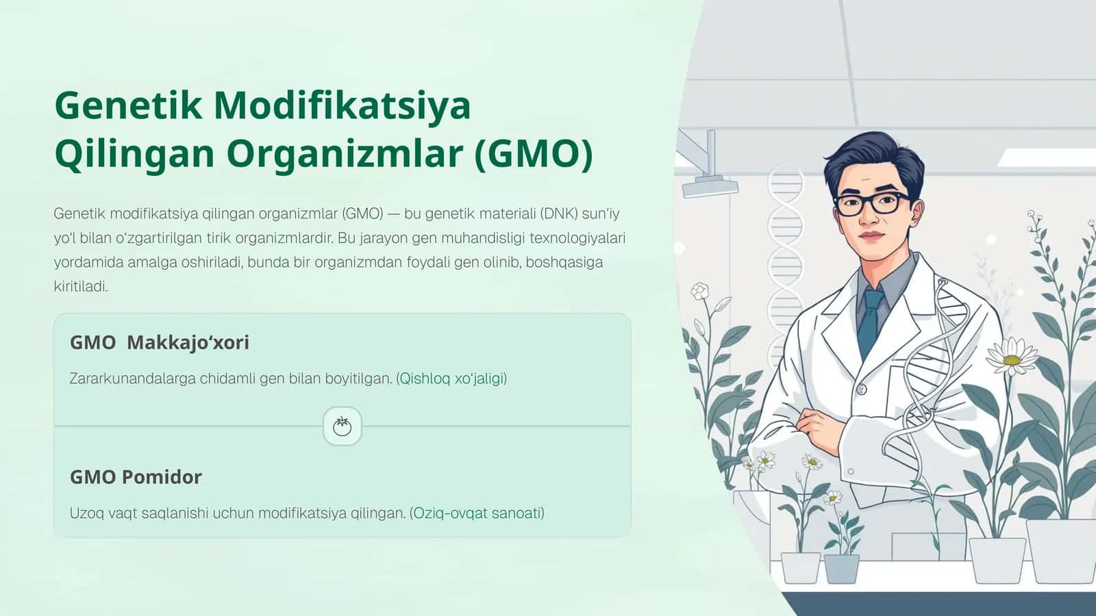 GMO Makkajo‘xori