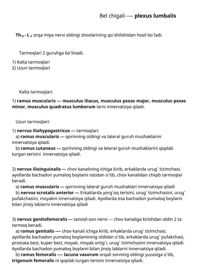 Plexus lumbalis