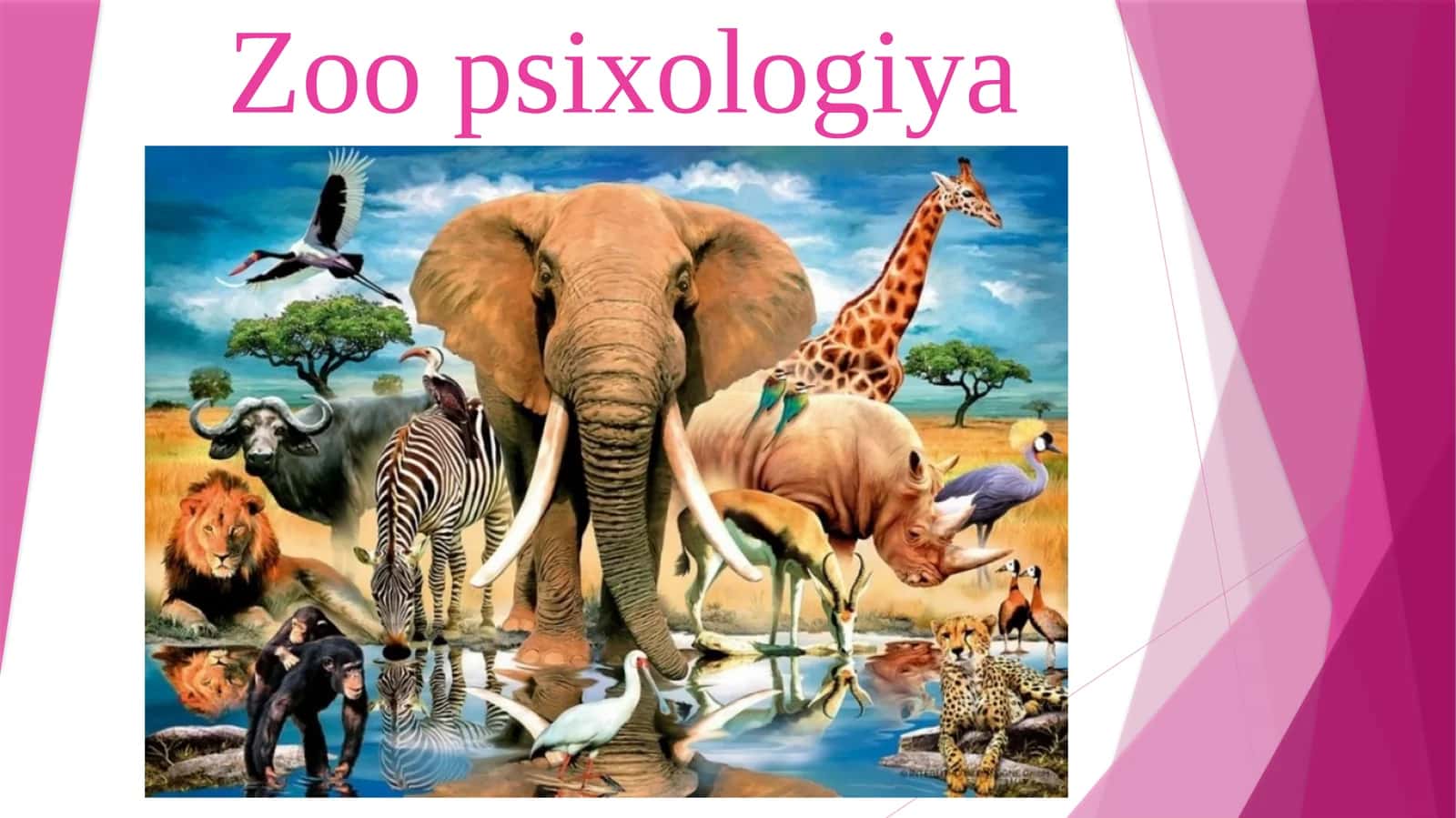 Zoo psixologiya