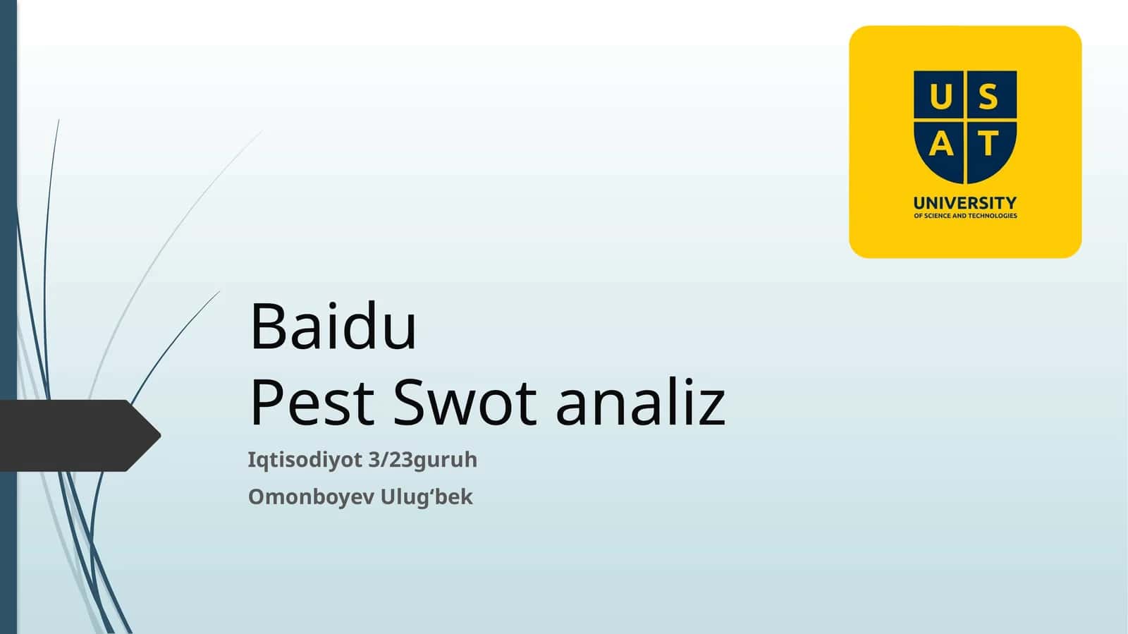 BaiduPest Swotanaliz