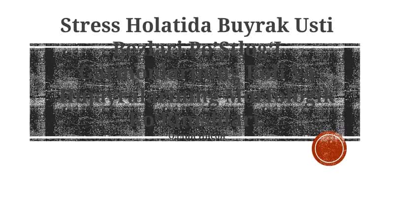 Stress Holatida Buyrak Usti Bezlari Po’StlogʻI Garmonlarining Roli Va Hujayralarining Morfologik KoʻRinishlari