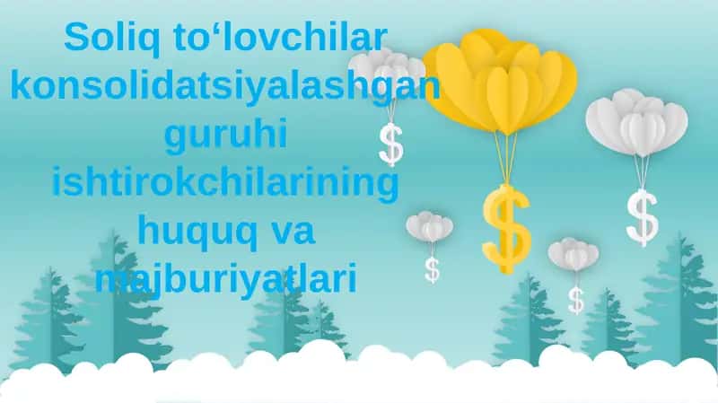 Soliq to‘lovchilar konsolidatsiyalashgan guruhi ishtirokchilarining huquq va majburiyatlari