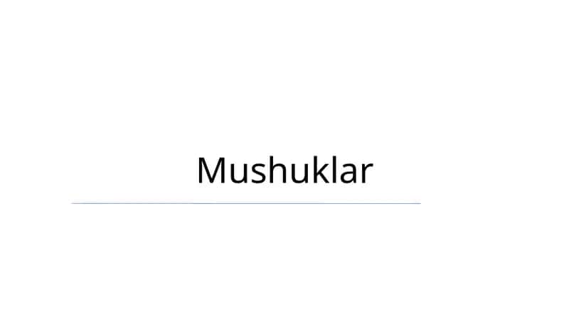 Mushuklar