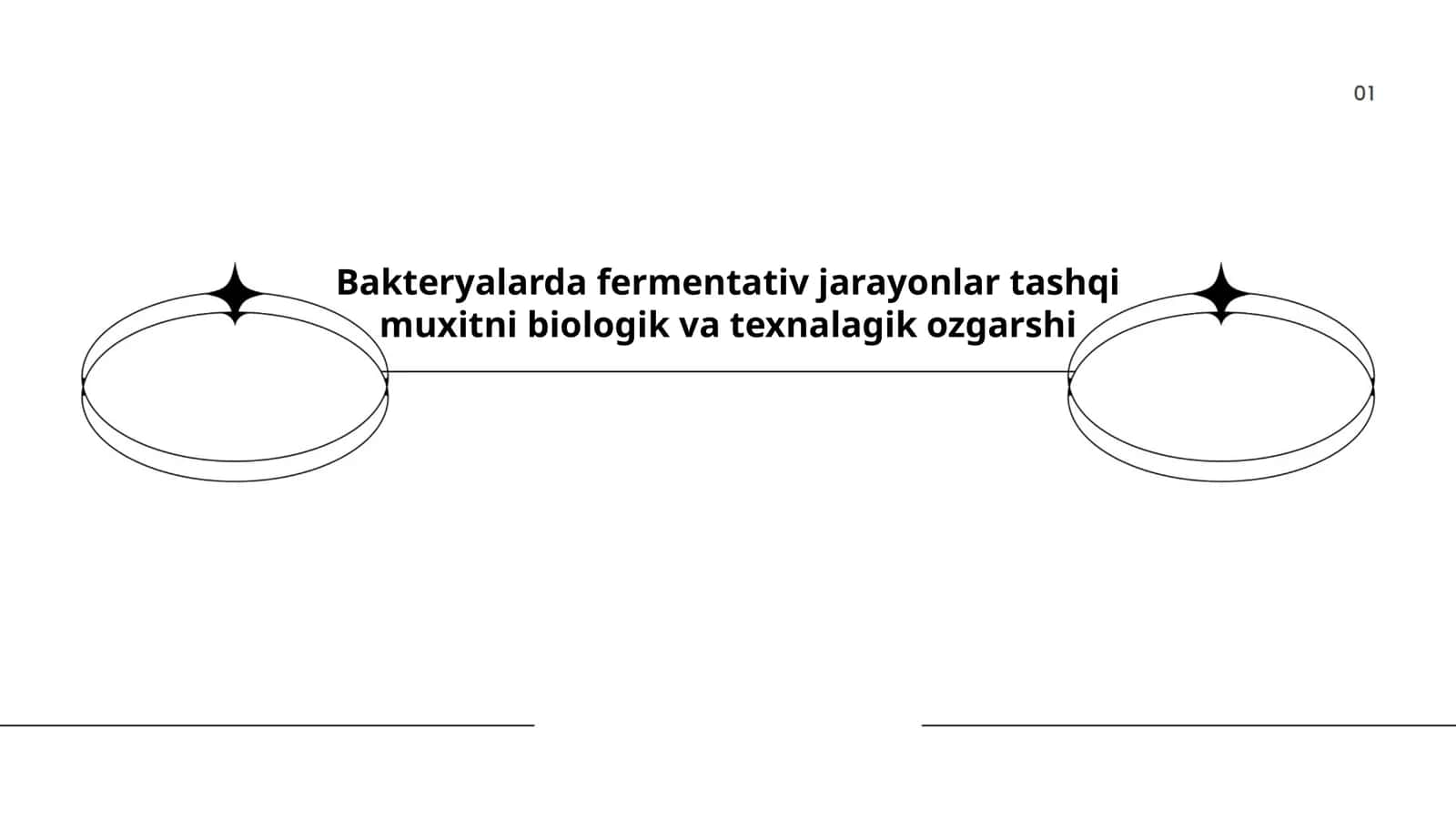 Bakteriyalarning fermentativ jarayonlari