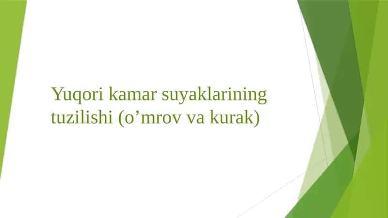 Yuqori kamarsuyaklarining tuzilishi(o’mrov va kurak)