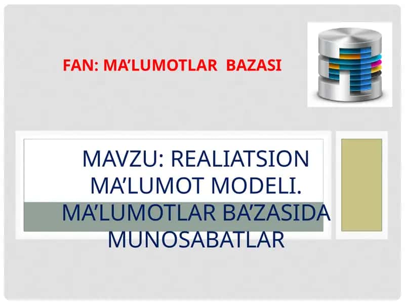 REALIATSION MA’LUMOT MODELI
