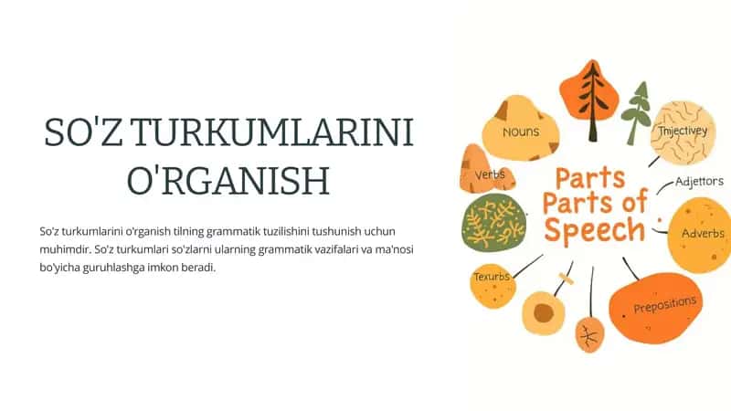 So'z Turkumlarini O'rganish