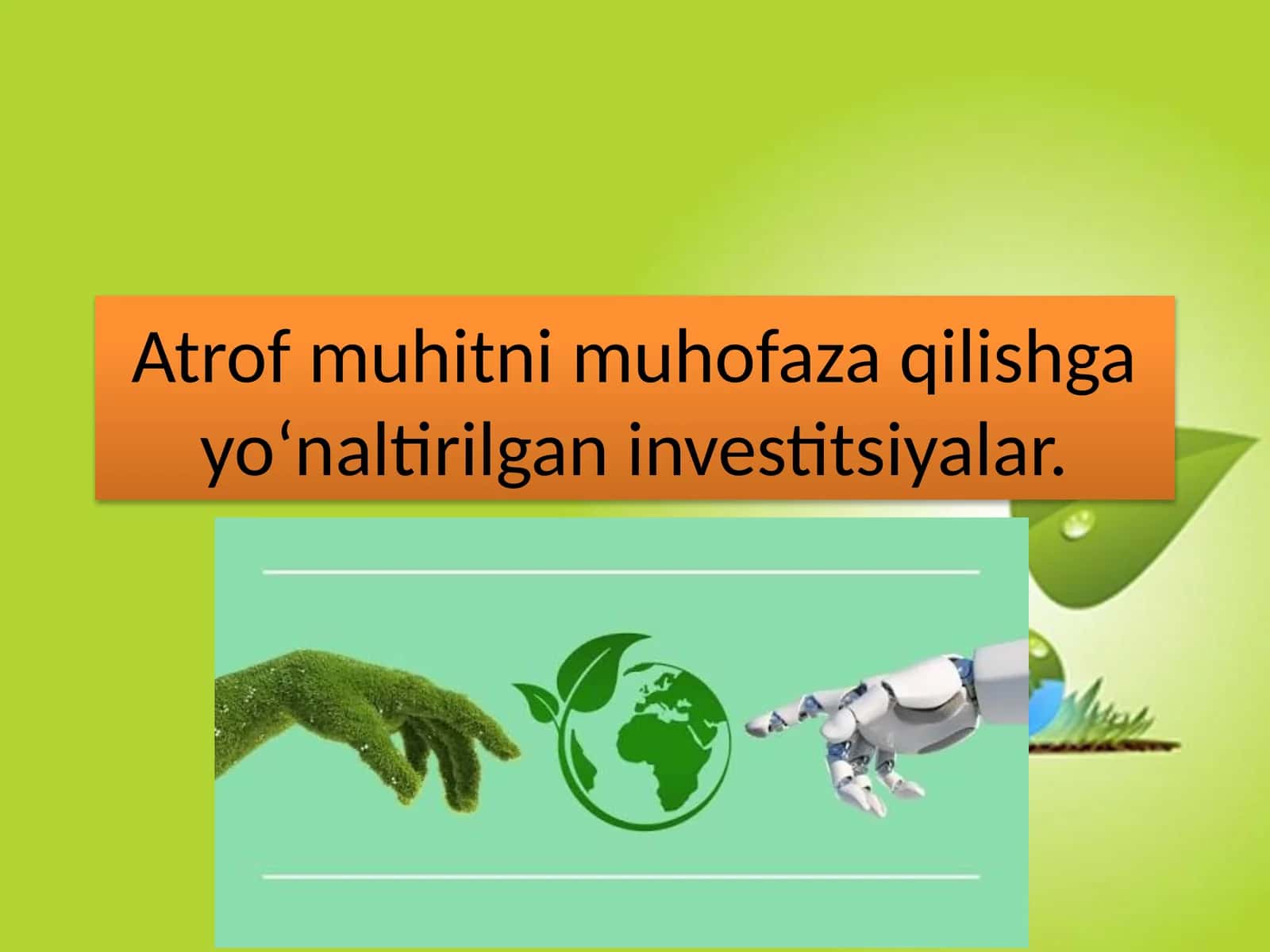 Atrof muhitni muhofaza qilishga yoʻnaltirilgan investitsiyalar