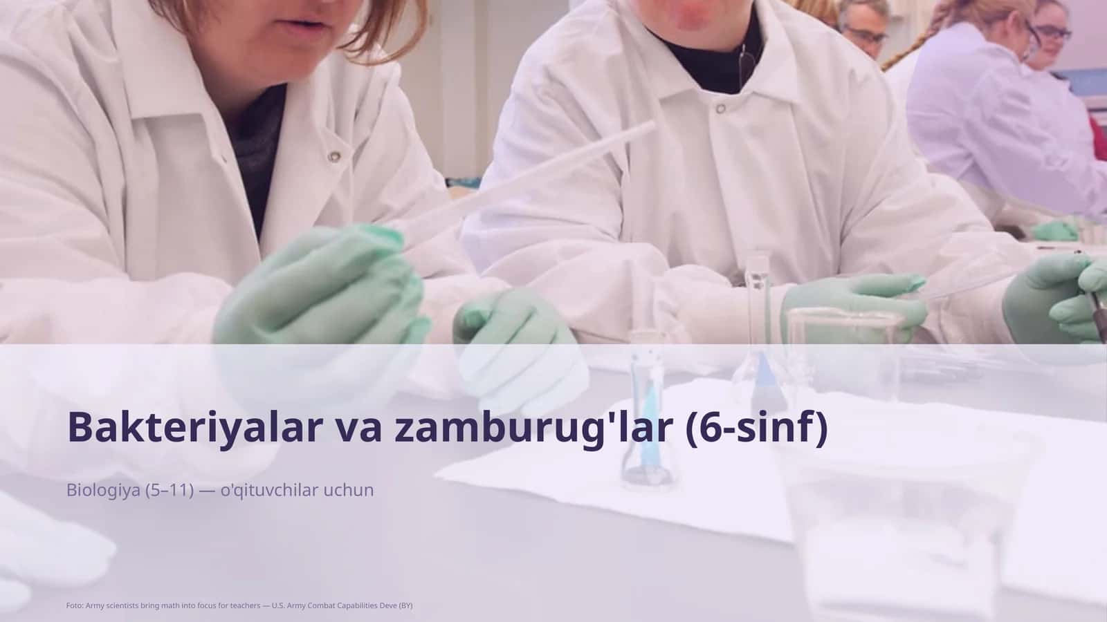 Bakteriyalar va zamburug'lar (6-sinf)