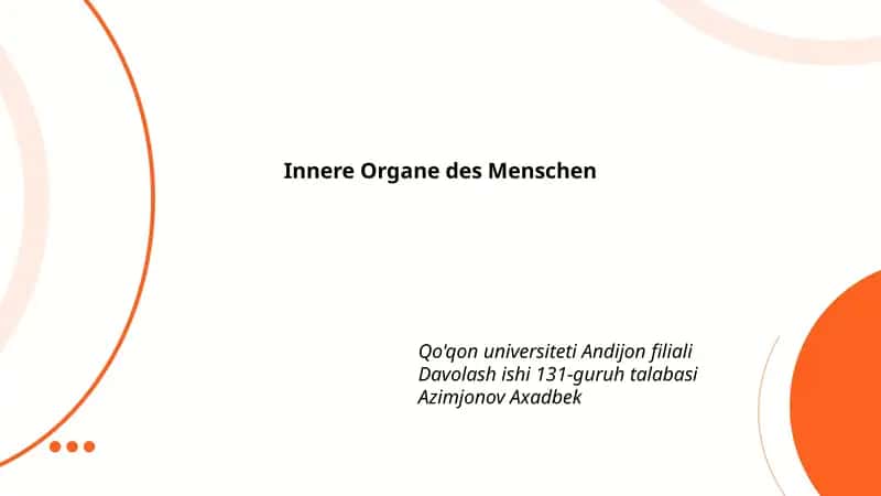 Innere Organe des Menschen
