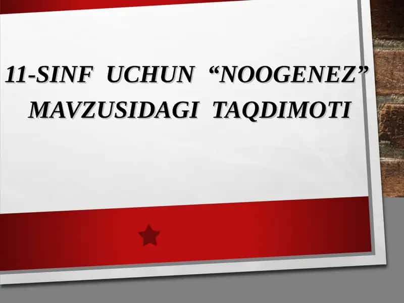 11-SINF UCHUN “NOOGENEZ” MAVZUSIDAGI TAQDIMOTI