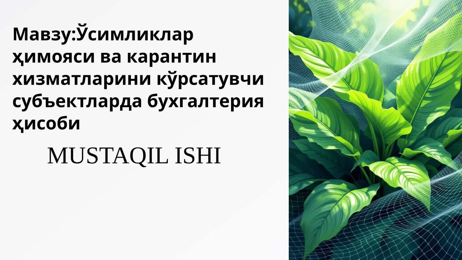 Ўсимликлар ҳимояси ва карантин хизматларини кўрсатувчи субъектларда бухгалтерия ҳисоби