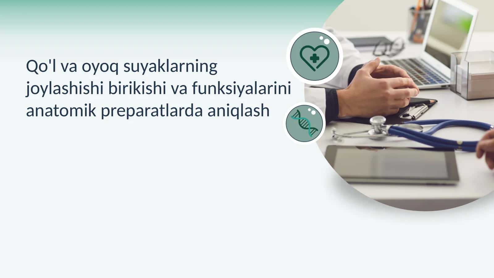 Qo‘l va Oyoq Suyaklari