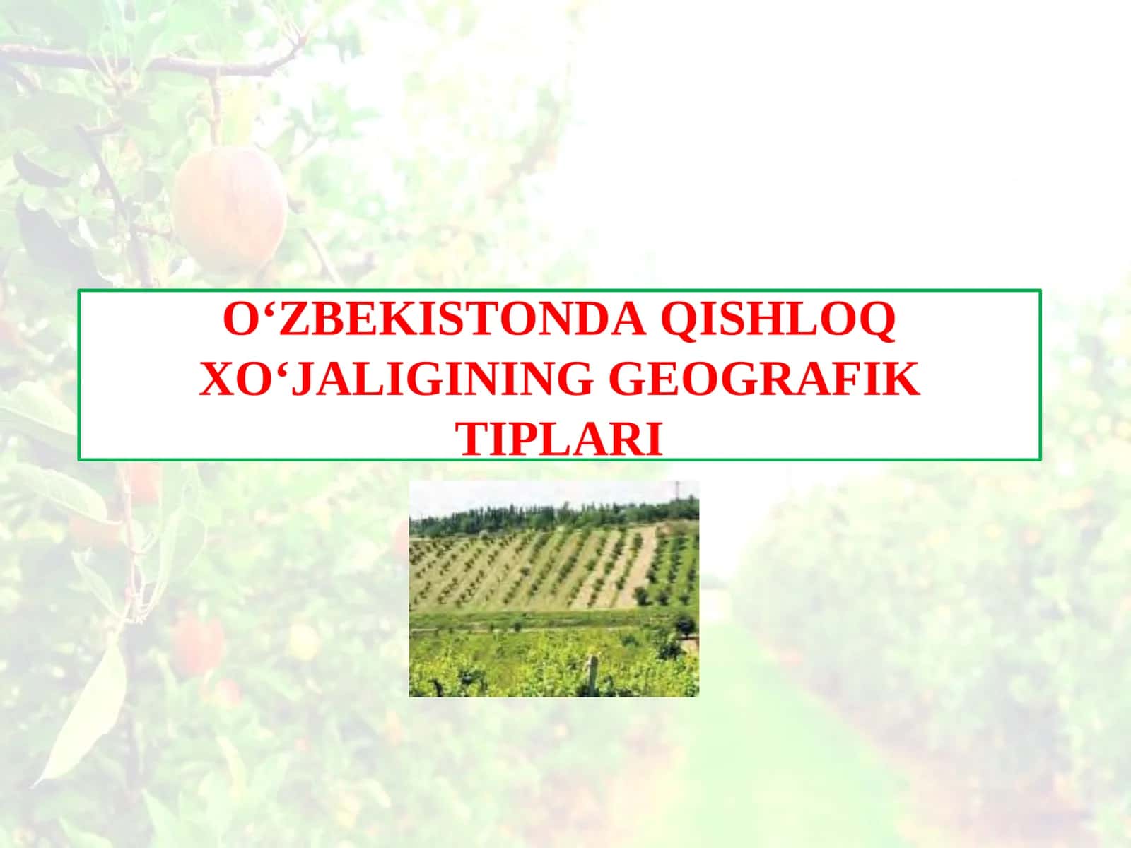 O‘ZBЕKISTОNDА QISHLОQ ХO‘JАLIGINING GЕОGRАFIK TIPLАRI