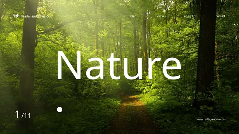 The essence of life on Earth
