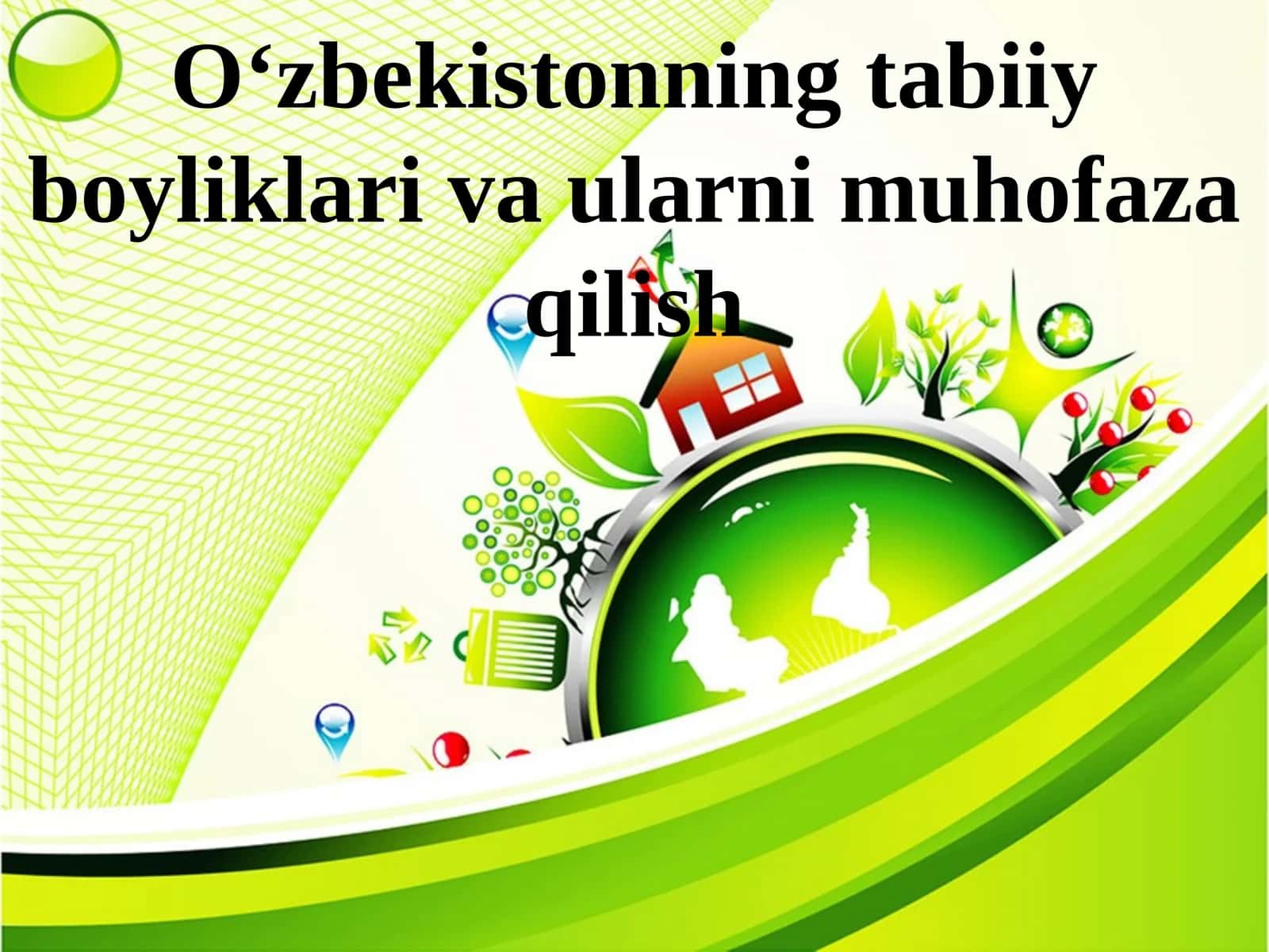 O‘zbekistonning tabiiy boyliklari va ularni muhofaza qilish
