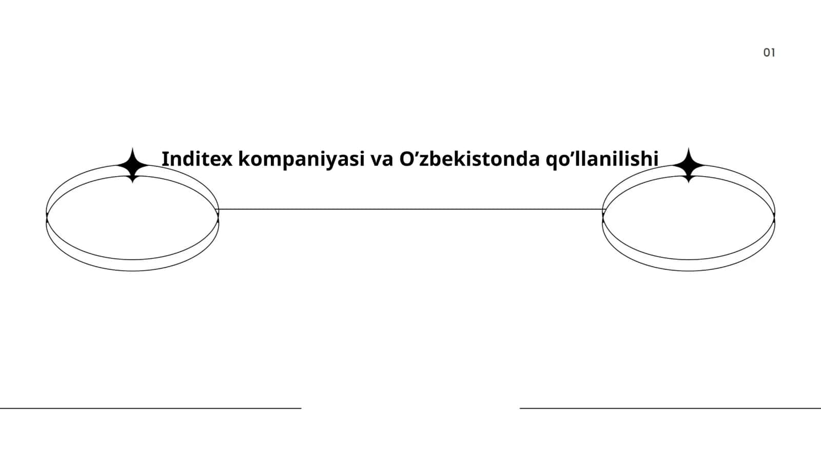 Inditex kompaniyasi va O’zbekistonda qo’llanilishi