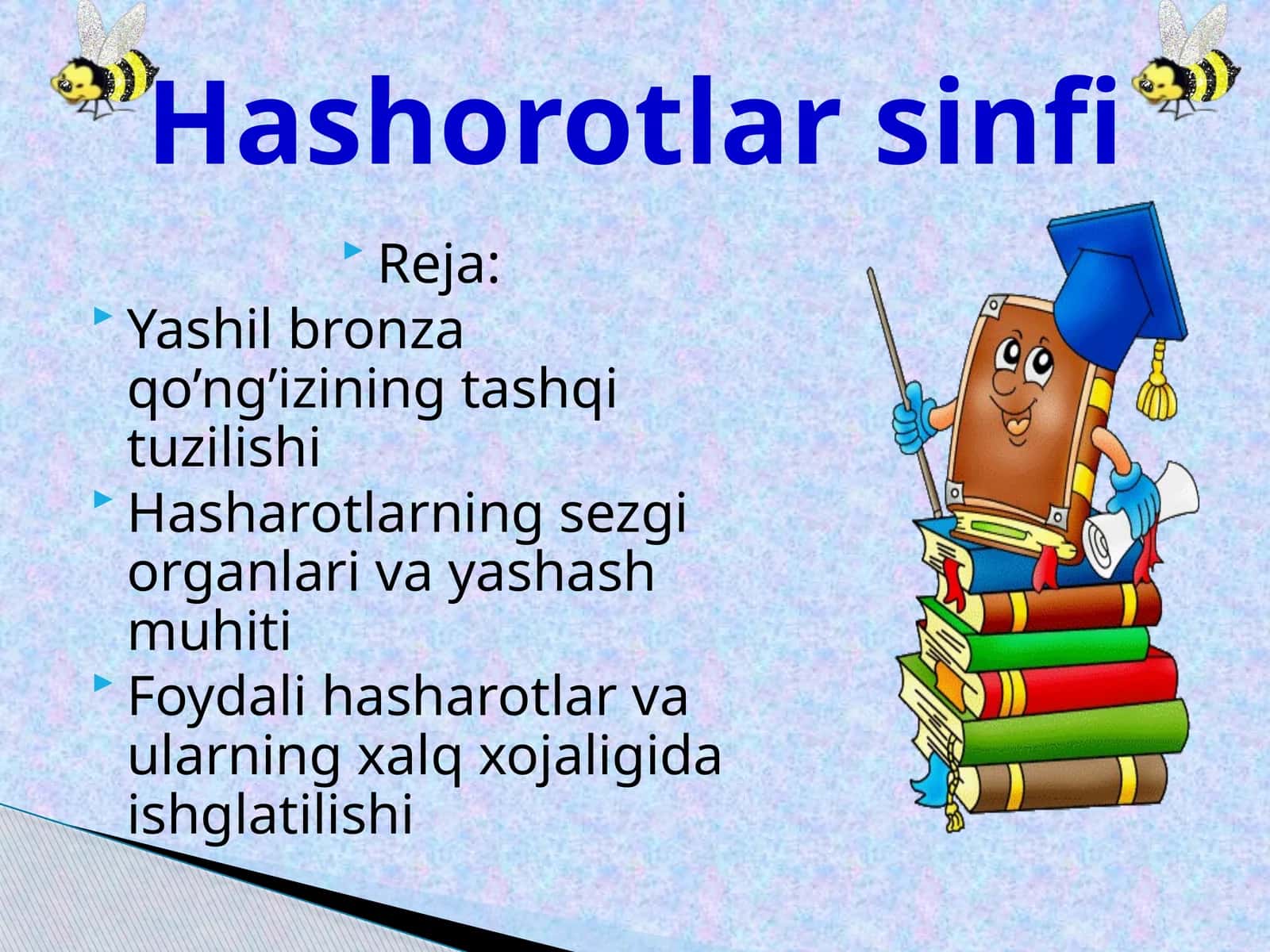 Yashilbronzaqo’ng’iziningtashqituzilishi