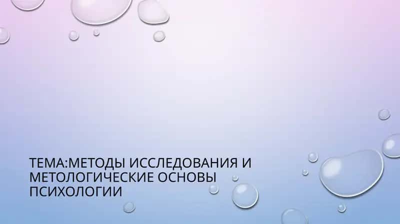 слайд,презинтация или slayd