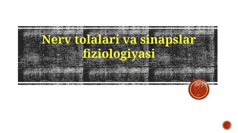 Nervtolalarivasinapslarfiziologiyasi