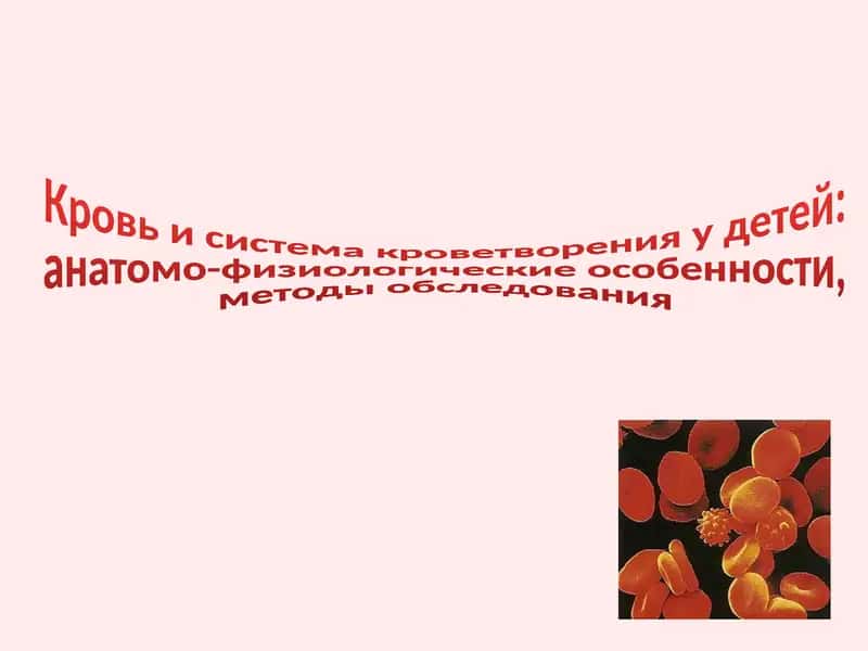 Кровь и система кроветворения у детей