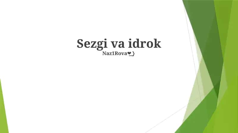 Sezgi va idrok