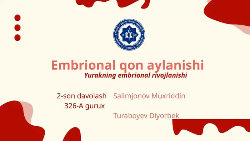 Embrional qon aylanishi. Yurakning embrional rivojlanishi