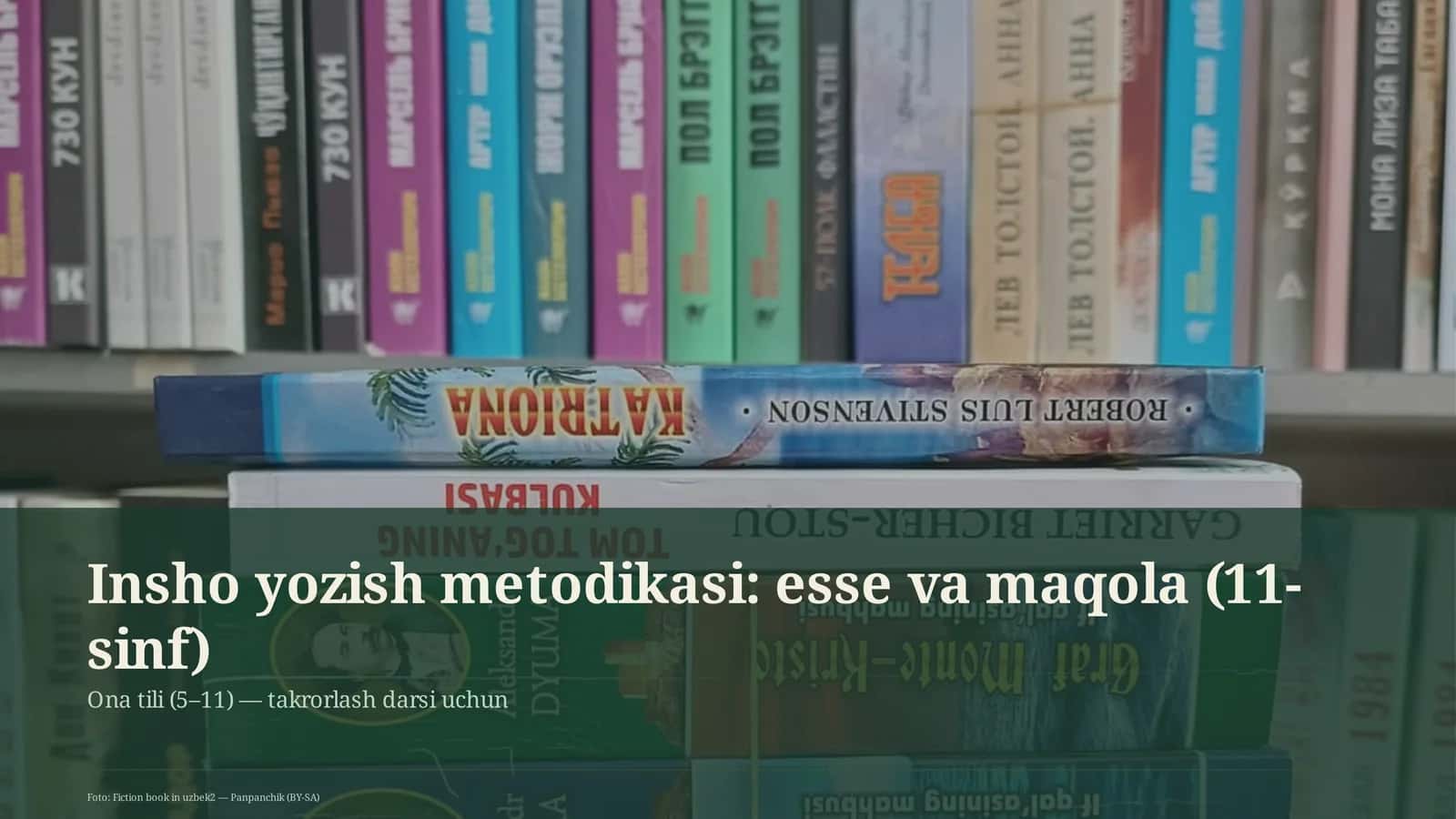Insho yozish metodikasi: esse va maqola (11-sinf)