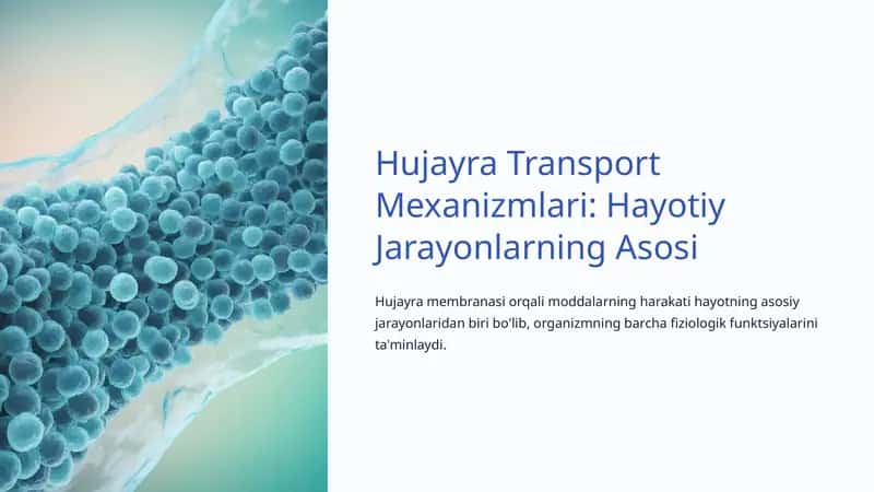Hujayra Transport Mexanizmlari