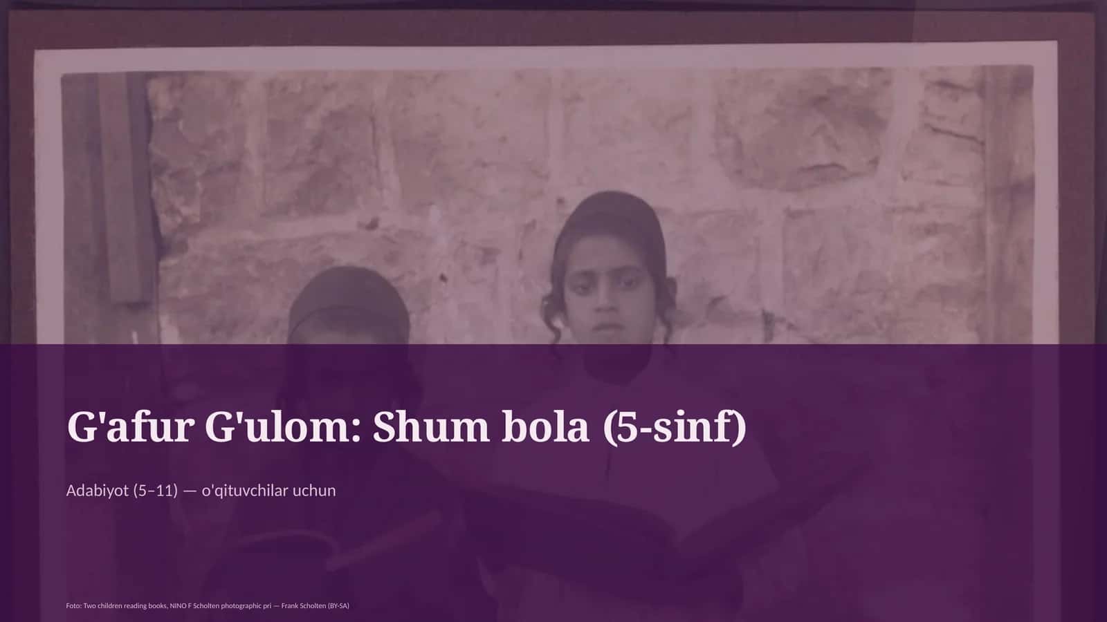 Shum bola (5-sinf)