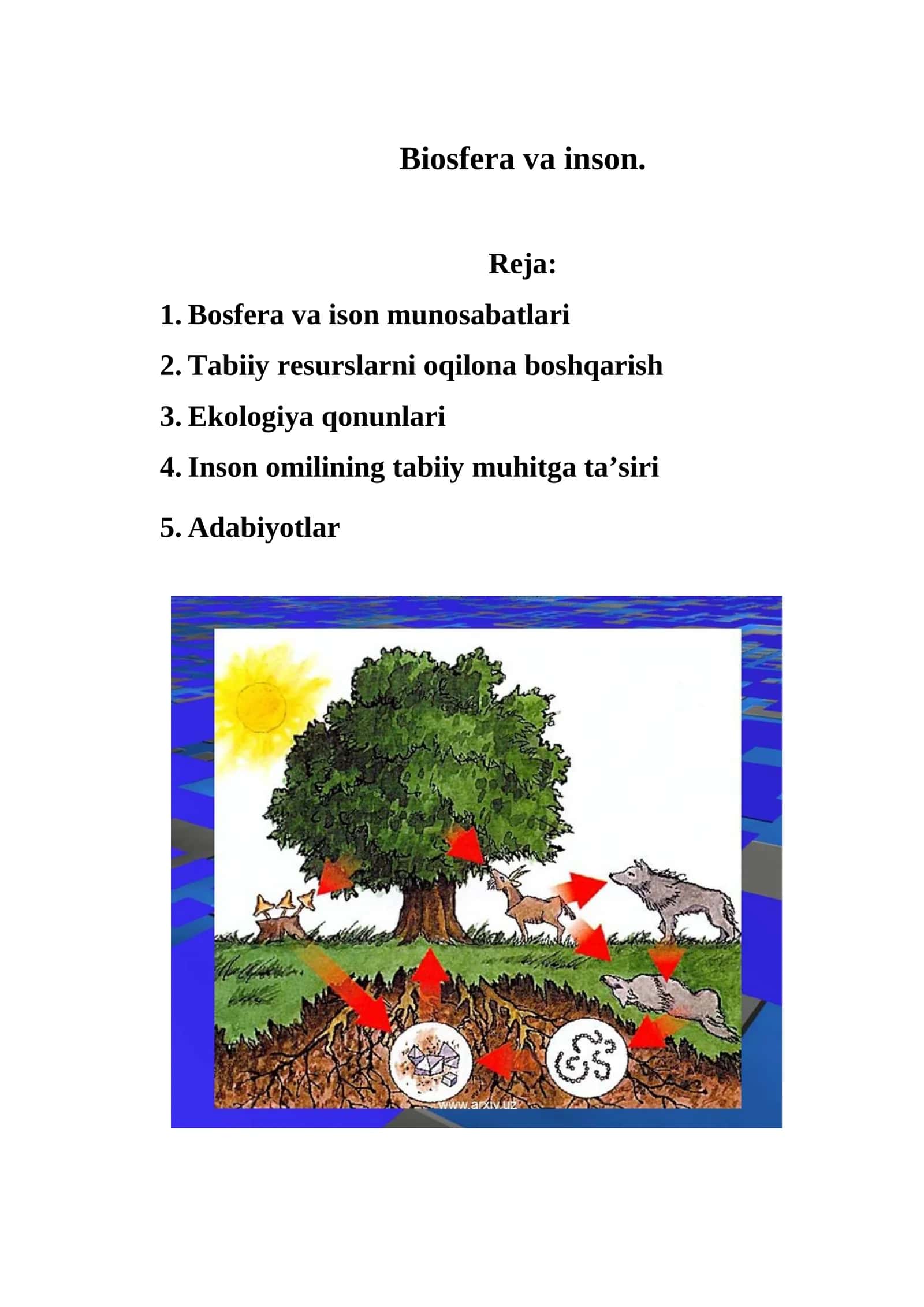 Biosfera va inson